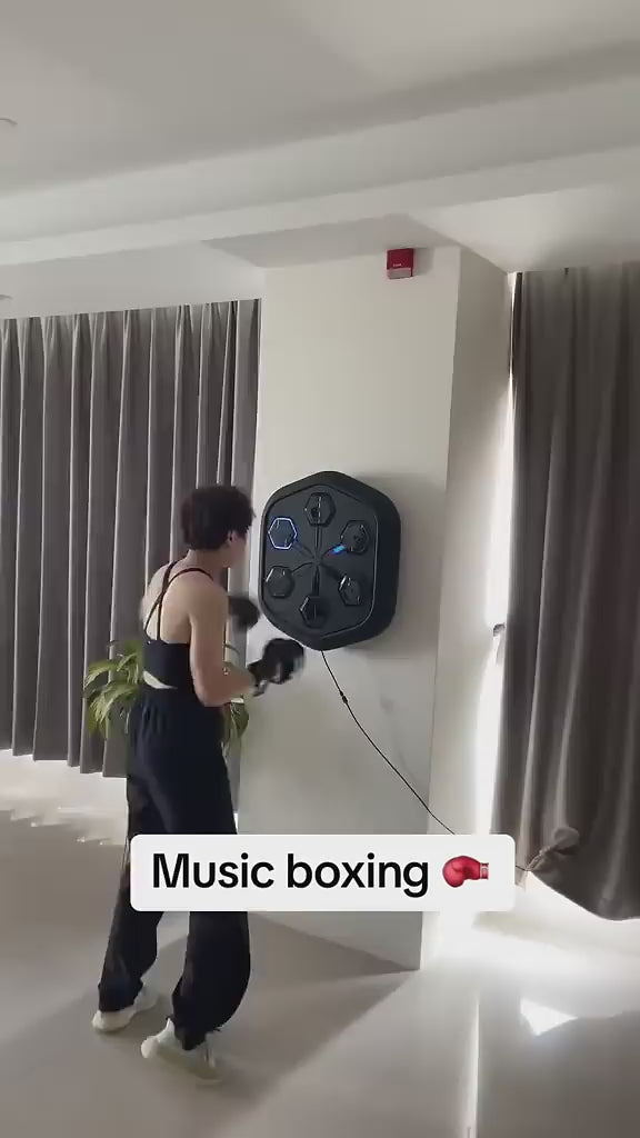 Gimnasio de Boxeo Profesional Deluxe